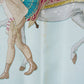 HERMES カレ90 "Cheval Turc"