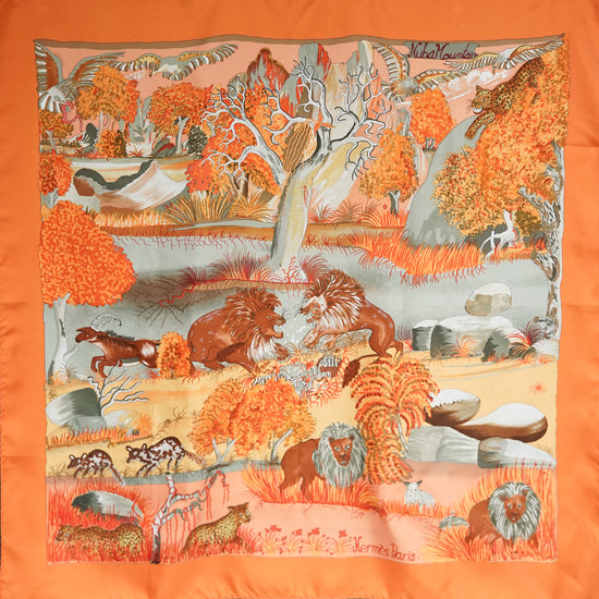 90s HERMES カレ90"Nuba Mountain"